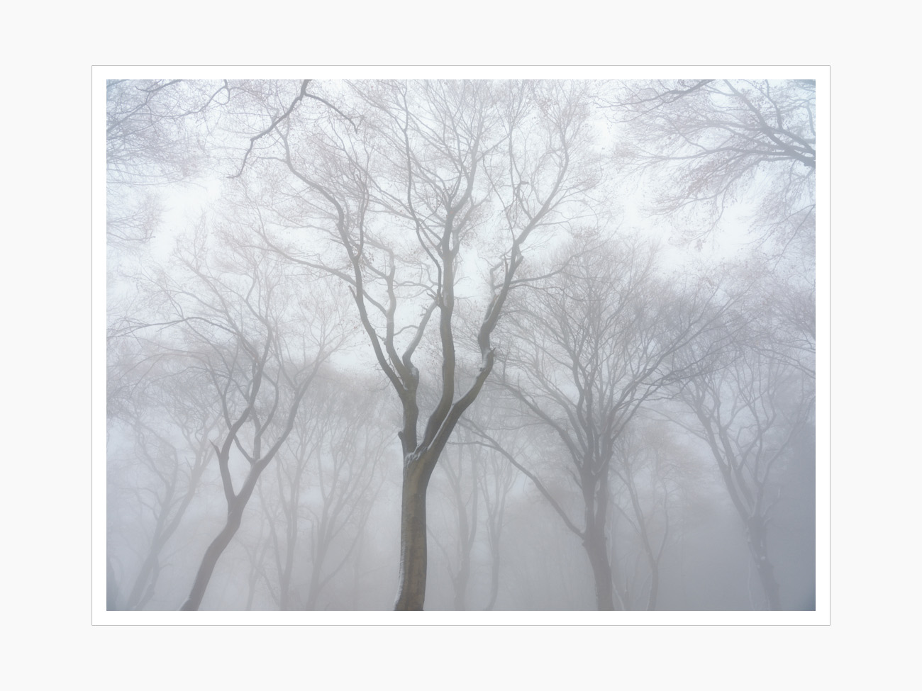 Max Schiefele Alle Bilder  DSF4575